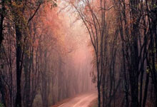 巴萨引用皇马先例提议补赛第37-38轮间进行,但遭到否决.