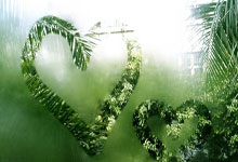 海星体育:2025首届“沧虎球杆”杯沙氏风云台球中式八球弹.