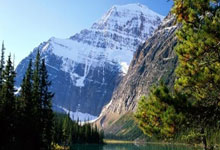 最新身价公布之后,这是最贵阵容和不含六大家族的最贵阵容.