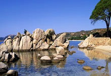 海星体育:针灸中医拿下格斗冠军!“十三妹”石铭火爆外网中新体坛.